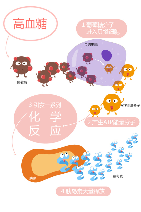 血糖實時監(jiān)測系統(tǒng)