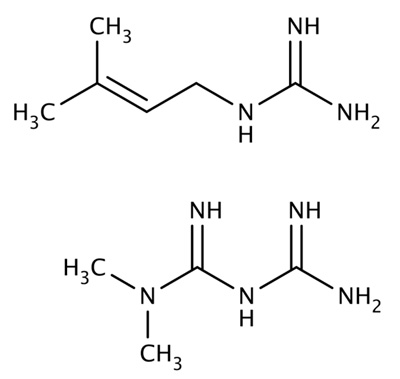 兩種胍類小分子，山羊豆堿（上）和二甲雙胍（下）