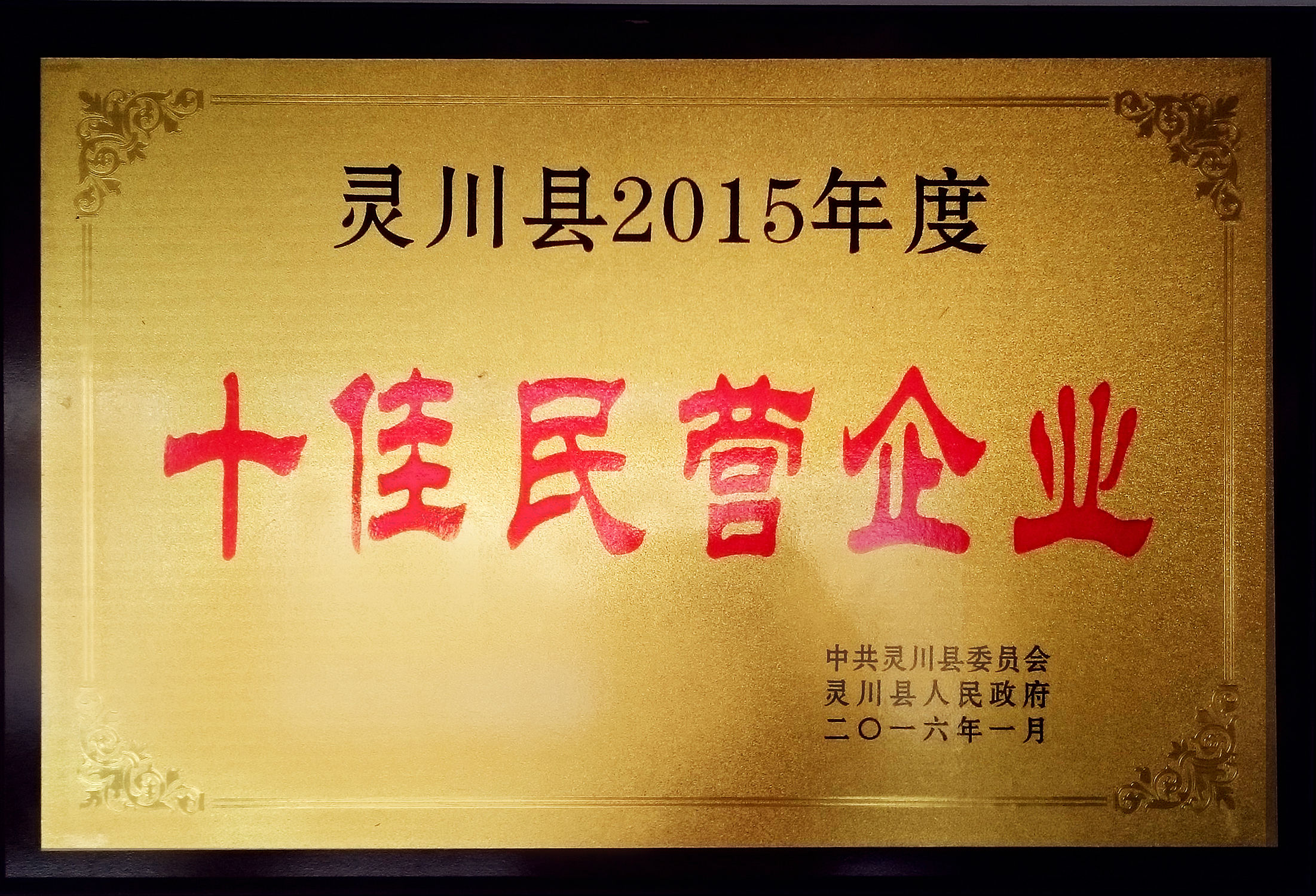 桂林華信制藥榮獲十佳民營企業(yè)